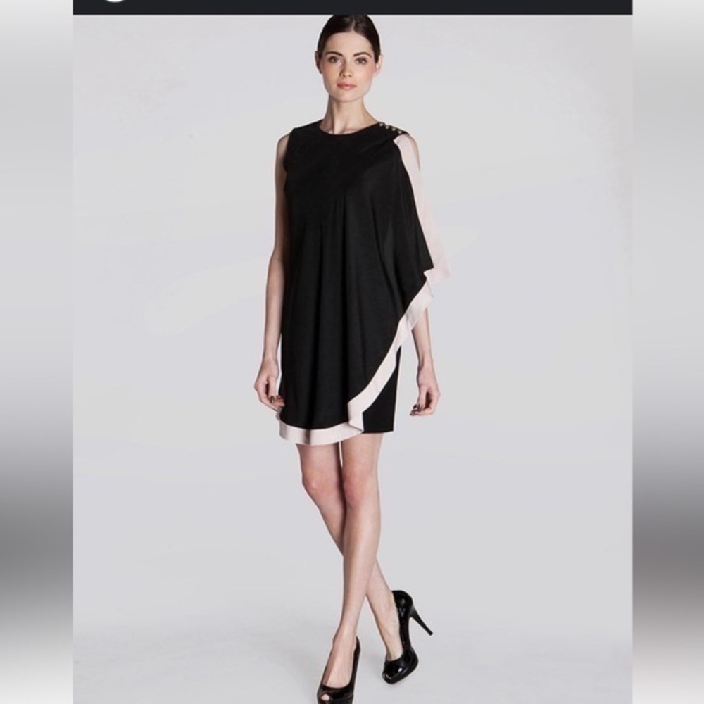 Ted Baker Black and Pink Asymmetrical Dress